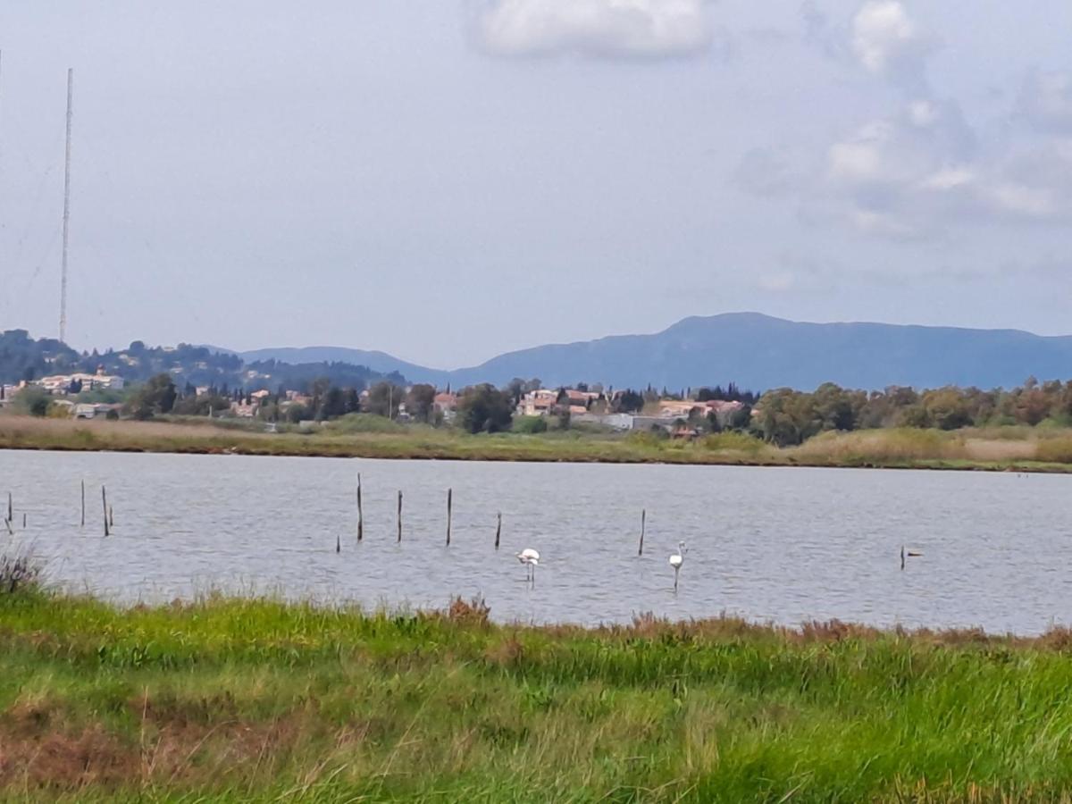 Corfu Lake House Κανόνι Εξωτερικό φωτογραφία